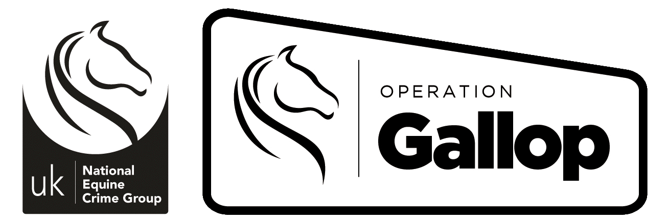Operation Gallop